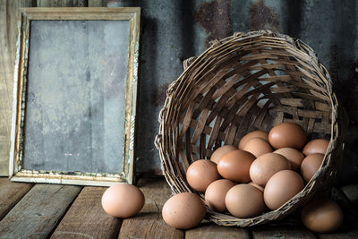 なぜ放し飼いの卵なのか?